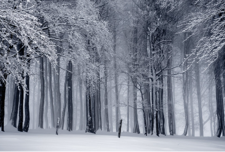 GA黄金甲-2026世预赛第三阶段：群雄逐鹿，谁将突围？